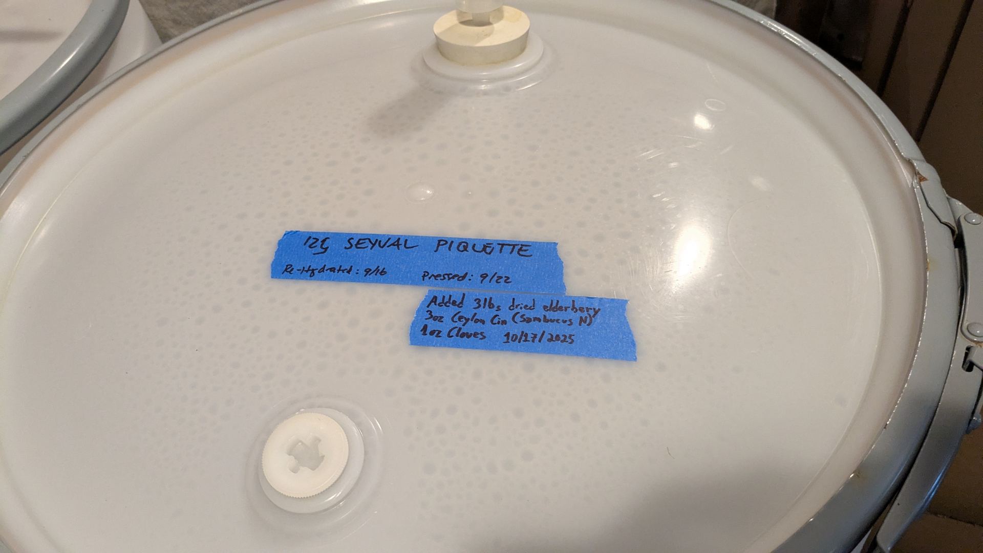 Piquette under fermentation